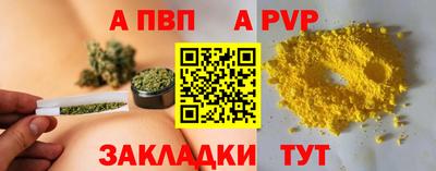 спайс Гай