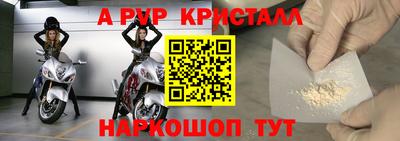спайс Гай