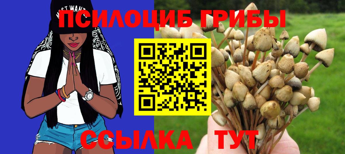 Псилоцибиновые грибы GOLDEN TEACHER Кыштым