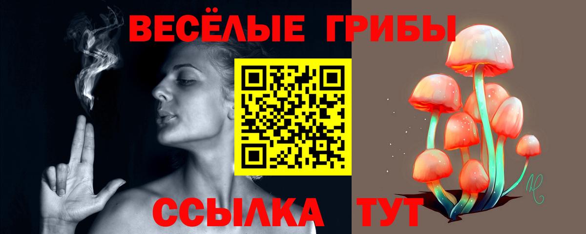 Кыштым  Псилоцибиновые грибы Magic Shrooms  Вход с VPN 